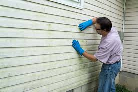 Best Siding Maintenance  in Roslyn, NY